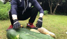 吃瓜爆料黑反差曹县,揭秘曹县背后的惊人反差